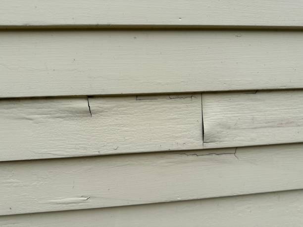 Best Custom Trim and Detailing for Siding  in Huntersville, NC